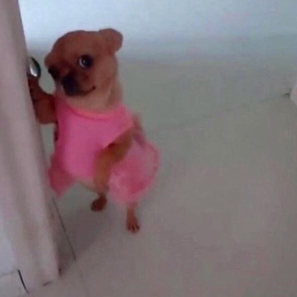 Meet your Posher, Mo - Picture 1 of 1